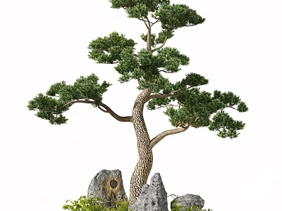 Lush Arbor With Curved Trunk And Foliage Surrounded By Stones And Green Plants 3d model