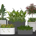 Potted Plants with Lush Green Leaves and Colorful Flowers in White Gray Rectangular Square Pots