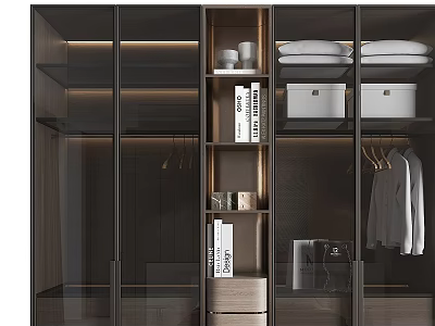 Modern Wardrobe Interior With Glass Doors Wooden Frame Hanging Area Folded Clothes And Storage Boxes 3d model
