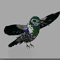 Colorful Hummingbird with Spread Wings in Green Blue and White Patched Feather Design