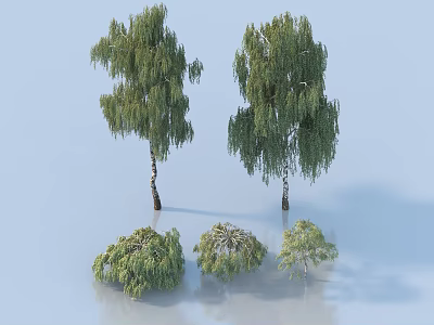 Various Sizes of Green Leafy Trees on Smooth Surface with Light Blue Background 3d model