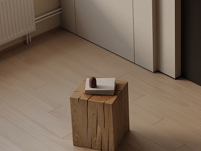 Modern Side 3d model