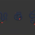 Blue Snakes With Red Heads Slithering On Shiny Black Background 3d model