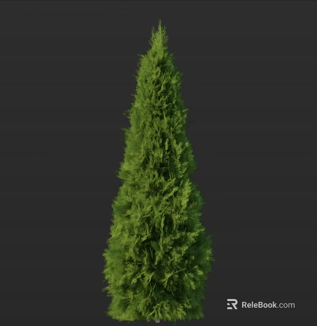 Tall Evergreen Arbor with Lush Green Foliage and Upright Structure in Dark Background 3d model 