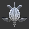 Modern Crocodile Turtle Cartoon Crocodile Turtle 3d model