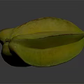 Fresh Ripe Yellow Starfruit Sliced Displaying Inner Texture On Gray Background