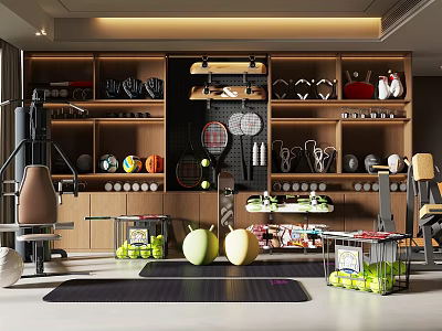 Organized Sports Equipment Storage with Tennis Rackets Dumbbells Yoga Mat and Fitness Balls 3d model