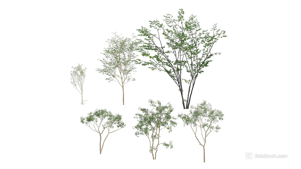 Arbor Trees With Various Forms And Green Foliage For Landscape Design 3d model