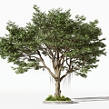 Trees Arbor 3d model