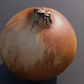 Plump Brown Onion With Natural Textured Skin And Dried Top
