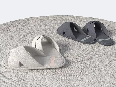 Two Pairs Of Slippers In Light And Dark Gray On Woven Mat 3d model