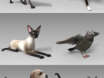 Reptile Lizard With Vibrant Scales Resting On Tree Branch In Jungle 3d model