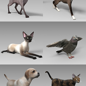 modern animal 3d model