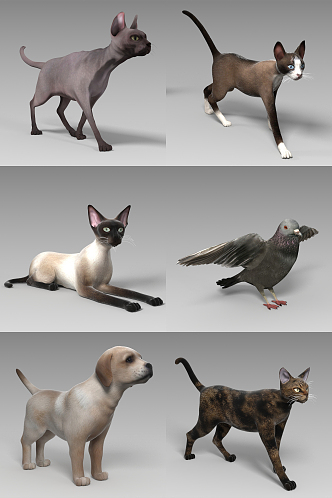 modern animal 3d model