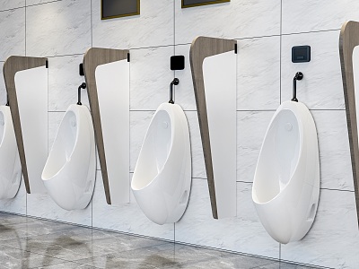 Urinal urinal partition 3d model