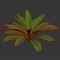 Lush Green Leafy Plant With Vibrant Shiny Leaves On Dark Background