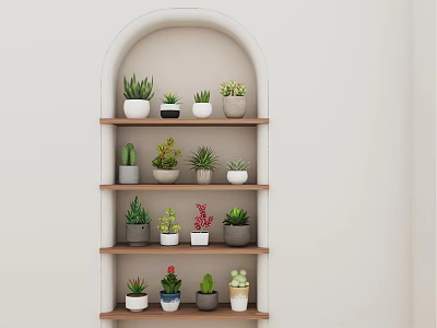 Indoor Succulent Plants Display on Arched Multi Tiered Wooden Shelves with Various Pots 3d model