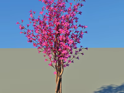 Tall Arbor With Vibrant Pink Blossoms Against Clear Blue Sky And Gray Ground 3d model