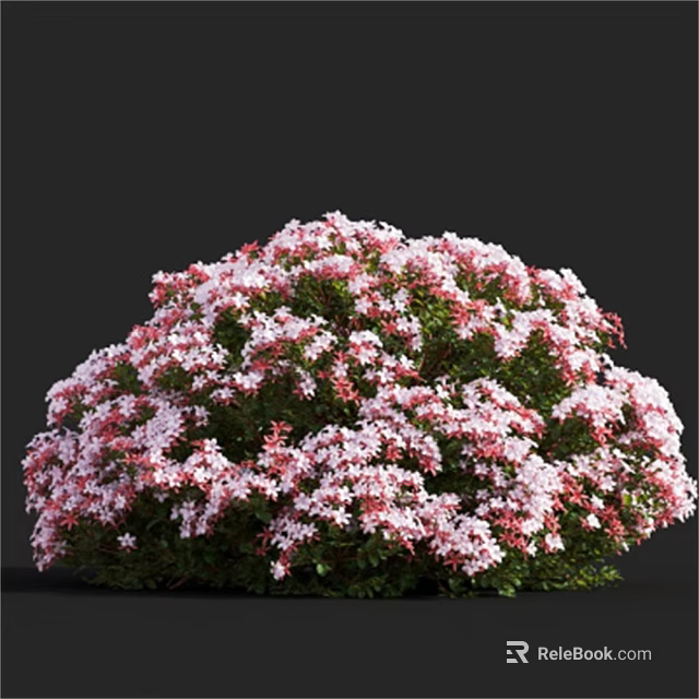 Lush Flowering Bush with Pink and White Blooms and Green Foliage 3d model 