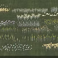 Illuminated Inflatable Decorations in Various Colors Arranged in Patterns on Grassland