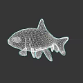 Stunning Silver And Orange Aquatic Goldfish With Bright Yellow Eyes Appearance