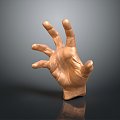 Modern Hand Gesture Palm 3d model