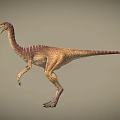 Standing Dinosaur With Long Neck And Tail Brown Yellow Detailed Texture Isolated On Gray Background