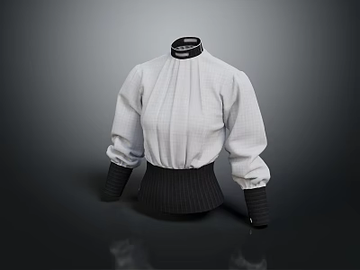 White High Neck Pleated Top With Black Cuffs And Fitted Waist Design 3d model