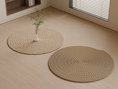 Light Brown Woven Square Rug on Wooden Floor with Window and Green Plants 3d model