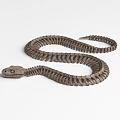 Detailed Snake Skeleton Display With Articulated Bone Structure And Coiled Body