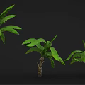 Cartoon Scene Featuring Banana Trees in Various Sizes with Green Leaves on Black Background