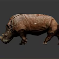 A Brownish Rhinoceros with Textured Skin in Walking Posture Against White Background and Reflective Ground