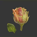 Bonsai Potted Plant With Pink And Orange Rose Bud And Green Leaf