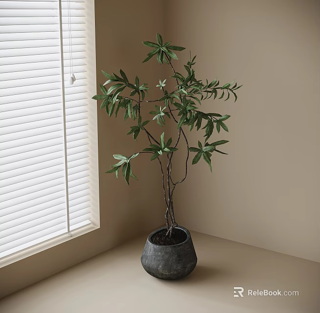 Lush Leafy Bonsai Plant with Multiple Branches in Gray Ceramic Pot by Window with Blinds 3d model 