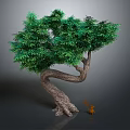 Curved Trunk Tree With Lush Green Leaves And Small Squirrel Next To It
