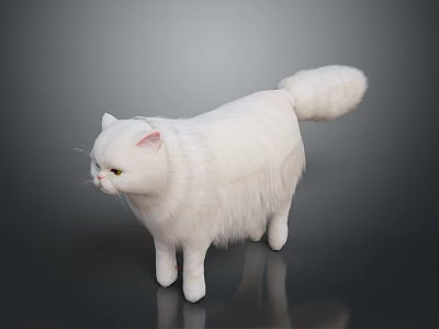 Fluffy White Long Haired Cat Standing Gracefully On Smooth Reflective Surface With Side View 3d model