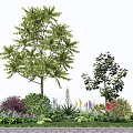 Tall Arbor with Lush Green Foliage Purple Shrubs and Flowers in Garden