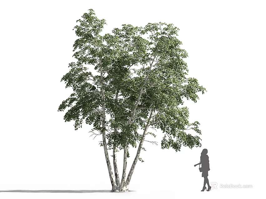 Arbor Featuring Lush Green Leaves With Little Girl Silhouette Standing Beside 3d model 