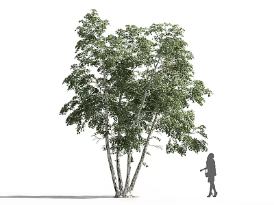 Arbor Featuring Lush Green Leaves With Little Girl Silhouette Standing Beside 3d model