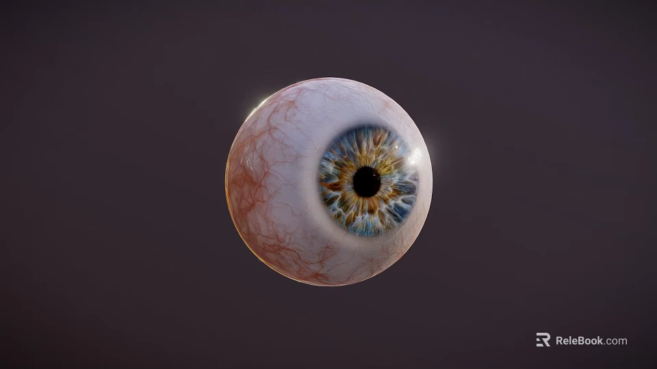 High Precision Ophthalmic Medical Device Detailed Eyeball Model For Surgical Training 3d model 