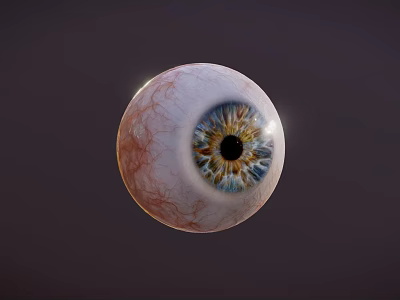 High Precision Ophthalmic Medical Device Detailed Eyeball Model For Surgical Training 3d model