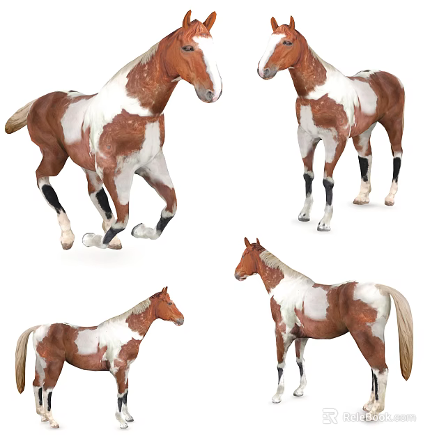 Brown And White Reptiles In Various Poses And Stances 3d model 