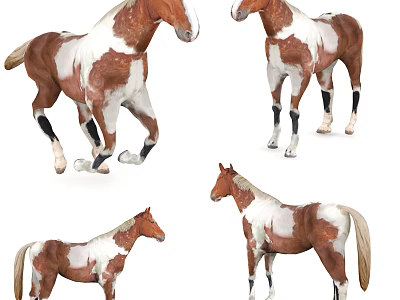Brown And White Reptiles In Various Poses And Stances 3d model