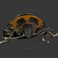 Beetle Scarab Insect Animal Game Animal Cartoon Animal 3d model