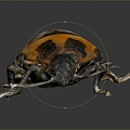 Beetle Beetle Scarab Insect Animal Game Animal Cartoon Animal Animal 3d model