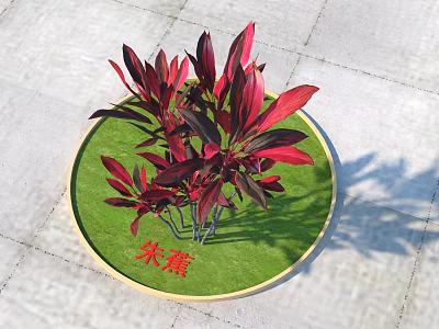 Cordyline Tree With Red Leaves On Circular Green Lawn And Stone Pavement 3d model