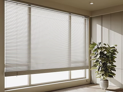 Modern Window Blinds In Bright Interior With Natural Light And Green Plant 3d model