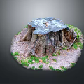 Natural Wooden Stump With Textured Surface And Stone Ground Surrounded By Green Moss