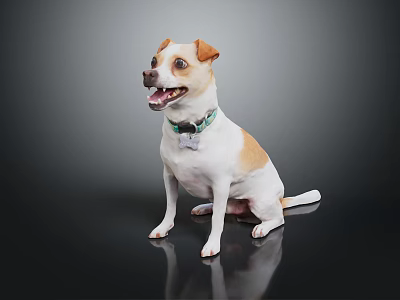 Brown and White Dog Sitting With Green Collar And Tag On Dark Reflective Floor 3d model