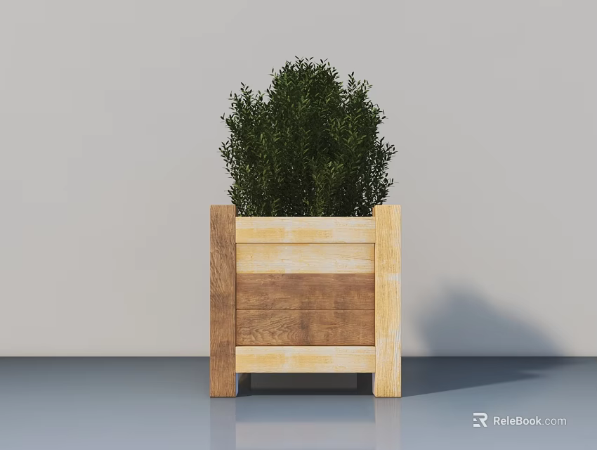 Bonsai Plant in Wooden Square Planter with Lush Green Foliage for Modern Indoor Decor 3d model 